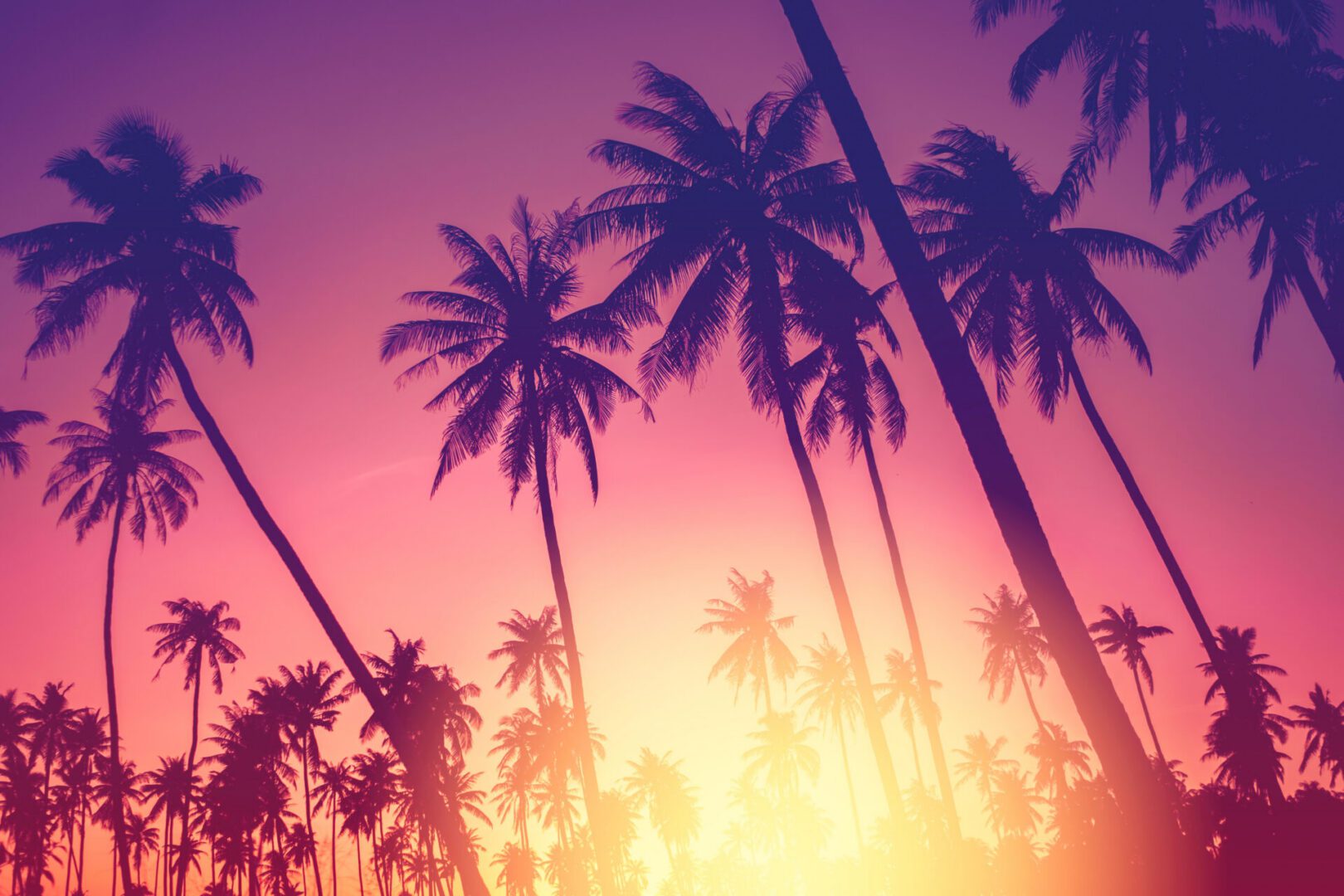 Palm Beach Gardens beach scene